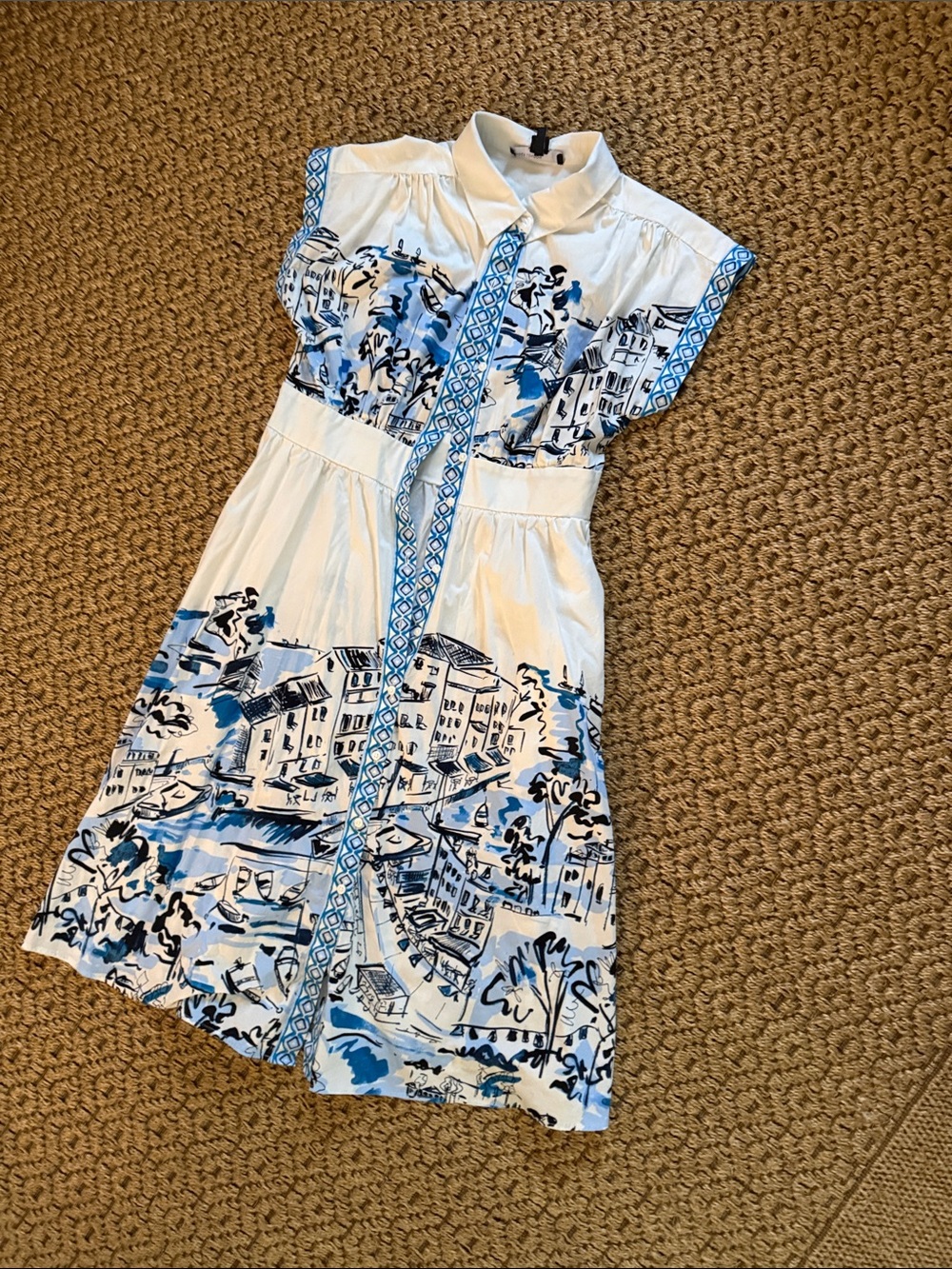 Maggy London White Dress with Blue Scenic Print